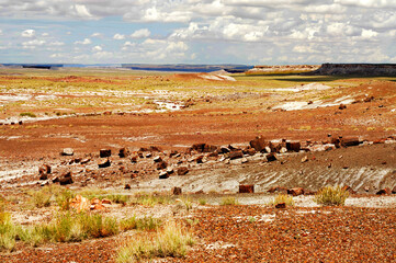 Alien Landscape Petrified Forest National Park Arizona - 784507218