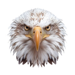 Obraz premium Extreme front view of realistic eagle head which is mounted on a wall isolated on a white transparent background