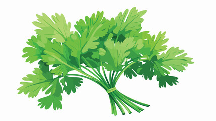 Sprig of parsley with bright green aromatic leaves.
