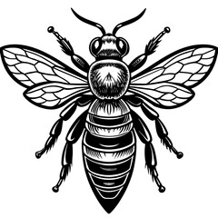 bee and flower vector illustration mascot,Honnybee silhouette,vector,icon,svg,characters,Holiday t shirt,black bee cartoon drawn trendy logo Vector illustration,bee on a white background,eps,png,line 