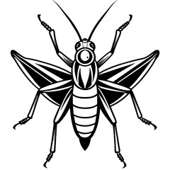 grasshopper vector illustration mascot,grasshopper silhouette,vector,icon,svg,characters,Holiday t shirt,black katydid cartoon drawn trendy logo Vector illustration,katydid on a white background,eps,p