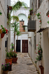 the historic center of specchia Puglia Italy	
