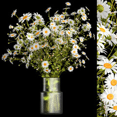 Small bouquet of wildflowers daisies chamomile isolated on black background