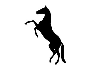 A rearing horse. Silhouette on a white background.