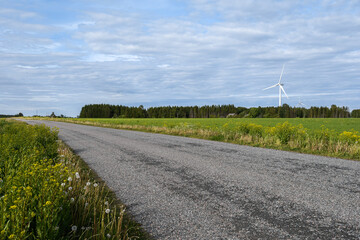 The asphalt road runs between farmland fields, with wildflowers along the sides. The meadows have...