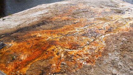 イエローストーン