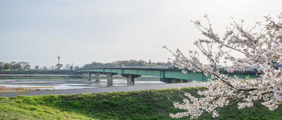 桜と橋と青空