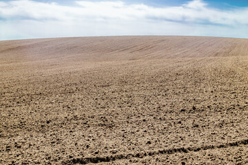 A freshly plowed and sown agricultural field at the beginning of the spring season. The surface of the soil prepared for agricultural land.
