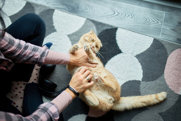 Playful Interaction Between Person and Ginger Cat on Patterned Floor