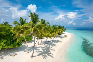 Sunny Beach in the Maldives. Palm trees, sand, sea. Landscape from a bird's eye view.