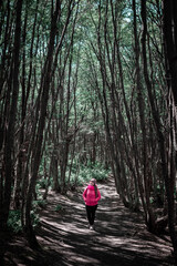 Mujer caminando por bosque oscuro y sombrio. Fotografía estilo Dark Moody