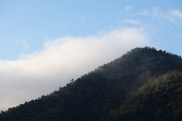 Misty clouds in the mountains
