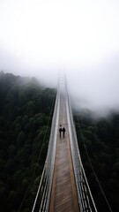 The bridge over the abyss in the fog.