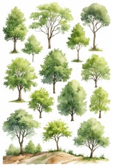 Artistic watercolor painting of trees on a white background