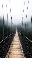 Fototapeta na wymiar The bridge over the abyss in the fog.