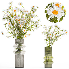  Small bouquet of wildflowers daisies chamomile isolated on white background - obrazy, fototapety, plakaty