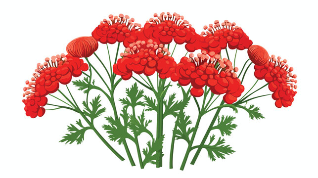 Trachyspermum ammi icon digital red for any design