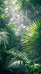 Close Up of Palm Tree Leaves