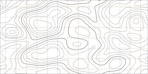 Gray topographic line contour map background, geographic grid map, Abstract background with fine lines - hand drawn vector illustration. - obrazy, fototapety, plakaty