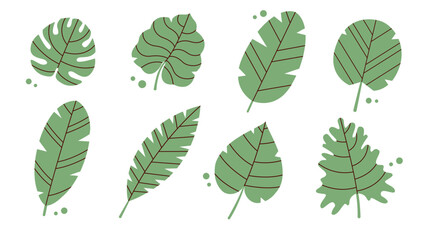 Obraz premium Collection with tropical green leaves. Palm leaves, monsters, bright jungle forest. Botanical vector illustration. Modern exotic design. Summer Journey. Tropical set of vector illustrations.