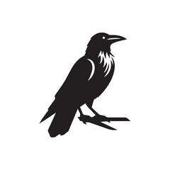 raven bird silhouette black and white in white background