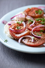 Summer Salad with Mozzarella Cheese, Tomatoes and red Onion. Stone background. Close up. Copy space