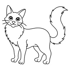 turkish angora