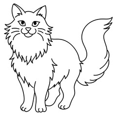 angora