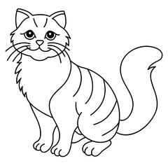 scottish fold cat