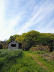 楠の倉展望台【香川県三豊市詫間町（志々島）】3