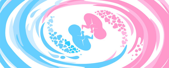it's twins! Multiple pregnancy. Monozygotic twins (embryos). Design element for pregnancy theme. Maternity, motherhood, baby.  Baby Desire.  Fetus.  Vector illustration