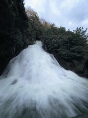 Obraz premium 満濃池の湯手から流れる幻の滝2024【香川県仲多度郡まんのう町】5