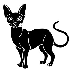 oriental shorthair