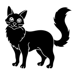 turkish angora