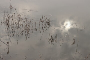 Reflection of the sun among the grass in the muddy water of the river flood