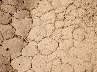 Rough arid soil