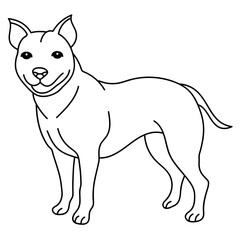 staffordshire bull