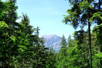 Scenic view green Alpine mountains with rugged ravines, mountain range in Europe, challenging...