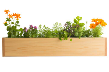 Assorted Fresh Herbs and Flowers in Wooden Planter Isolated on White