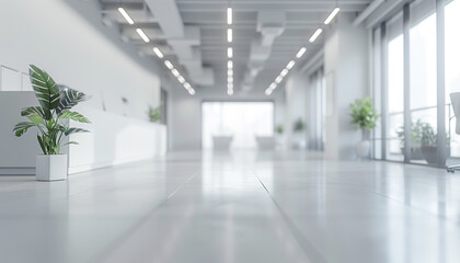 A bright and airy modern office corridor lined with green plants in white pots.