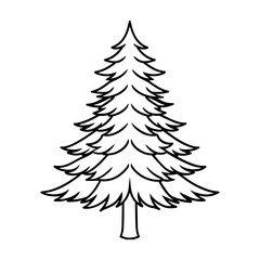 Obraz premium A pine tree-