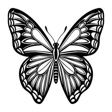 recommend clip art: Butterfly, line art, no background-"Graceful Butterfly Line Art: Minimalist Illustration"