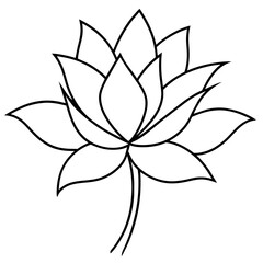    Flower vector illustration with line art.
