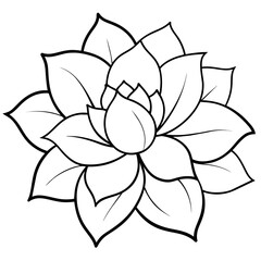    Flower vector illustration with line art.
