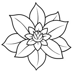    Flower vector illustration with line art.
