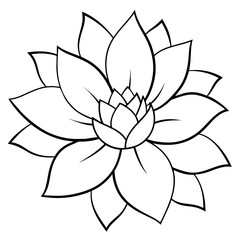    Flower vector illustration with line art.
