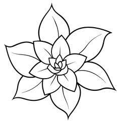    Flower vector illustration with line art.
