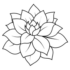    Flower vector illustration.
