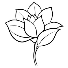    Flower vector illustration.
