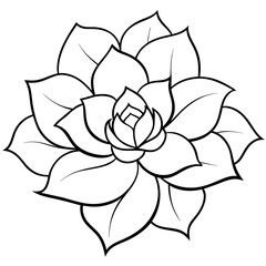    Flower vector illustration.
